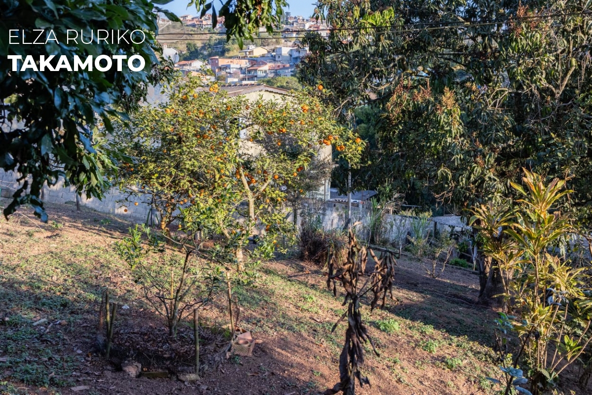 Chácara em , Mairinque - Foto 13